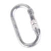 Screwgate Karabiner RGK1